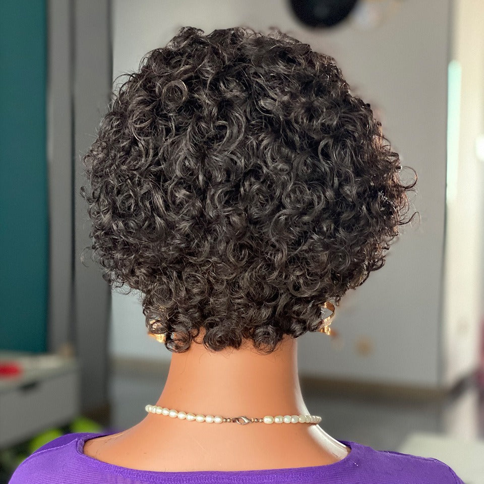 Curly Pixie Cut Lace Human Hair Wig
